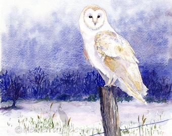 watercolor bird- Barn Owl - art print