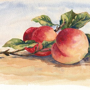 fruit painting- Two Peaches- watercolor art print