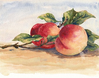 fruit painting- Two Peaches- watercolor art print