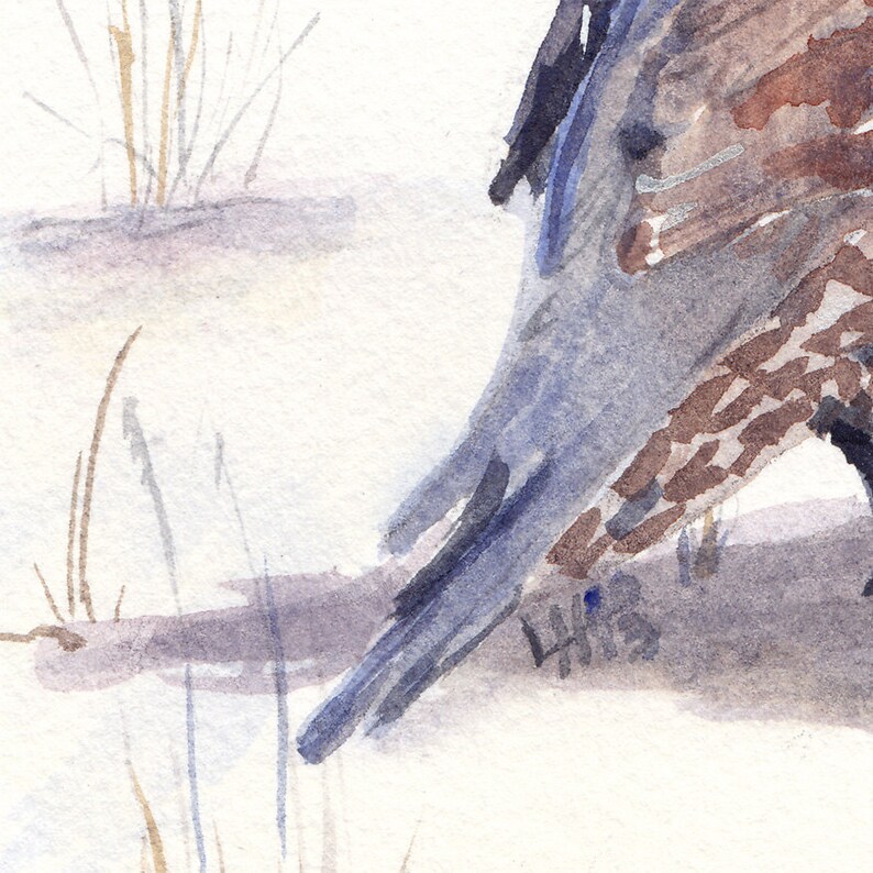 watercolor bird Quail in Snow art print image 4