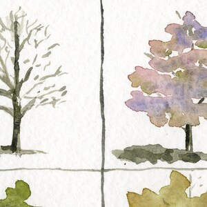 four seasons painting A Tree's Clothes watercolor art print image 3