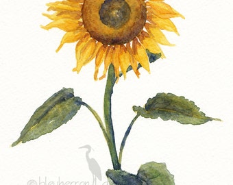 painting- Sunflower- watercolor print