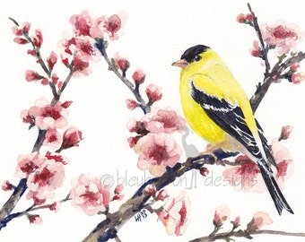 watercolor bird- Goldfinch in Spring Cherry Tree- spring art print