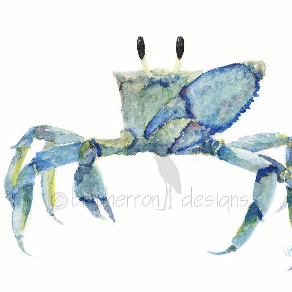 Aquarela do oceano - Caranguejo Azul - impressão artística