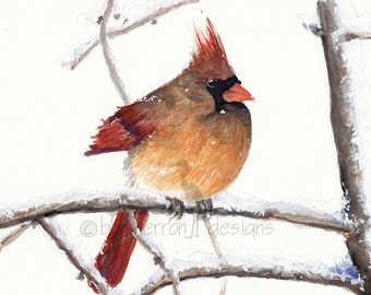 red cardinal- Mrs Cardinal- watercolor art print