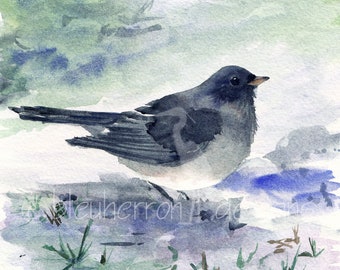 watercolor bird- Junco- art print