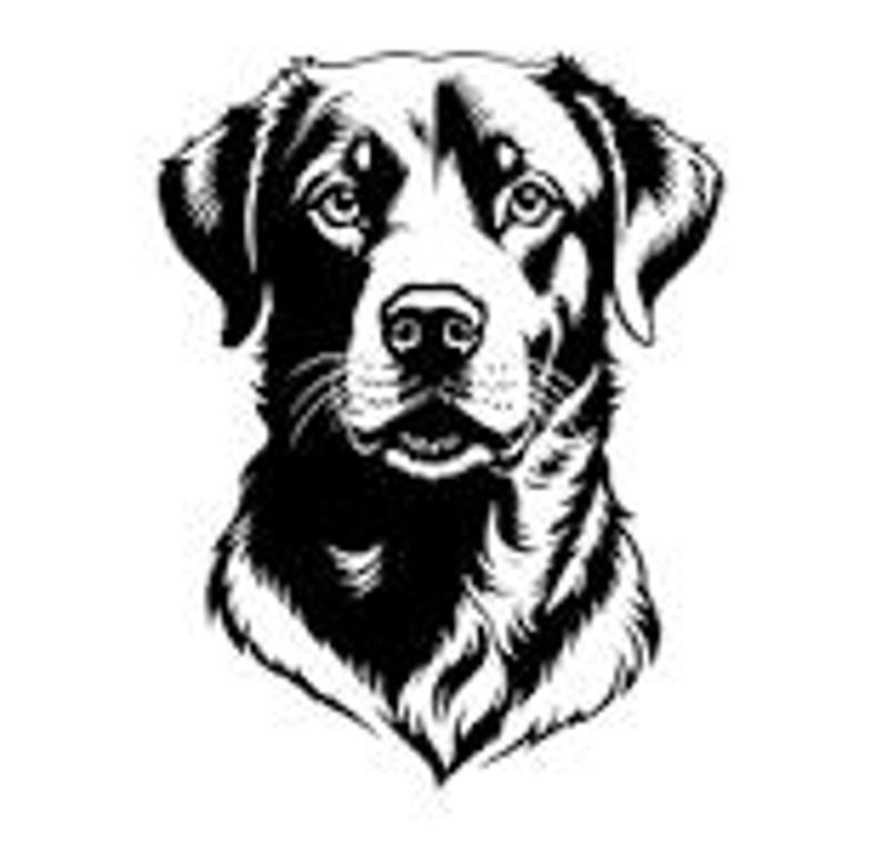 以下が含まれることがあります： ラブラドールレトリバーの頭部の白黒イラスト。犬の目、鼻、口に焦点を当てたデザイン。グラフィック用途に適しています。