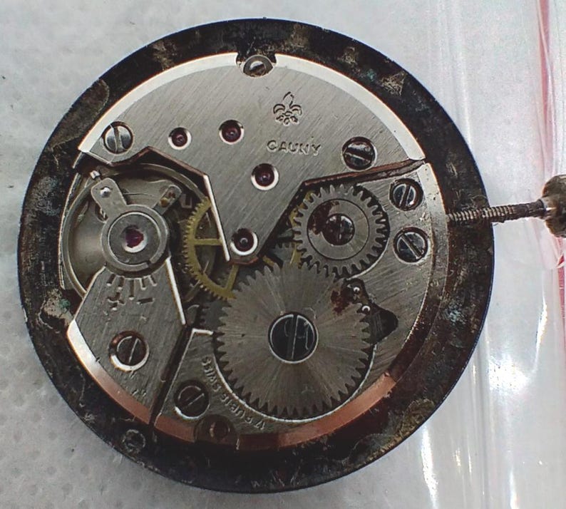 May include: Close-up of a watch movement with visible gears, screws, and a balance wheel. The metal components are silver and gold-toned, with the word "CAUNY" visible. The watch mechanism is set against a dark, circular frame.
