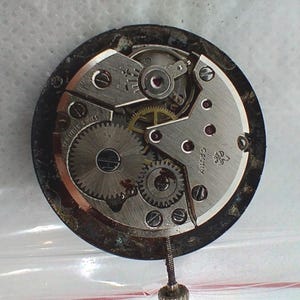 May include: Close-up of a disassembled watch movement, showcasing intricate gears, springs, and other mechanical components. The watch mechanism is silver-toned with a dark, circular frame. A small screwdriver is positioned at the bottom.