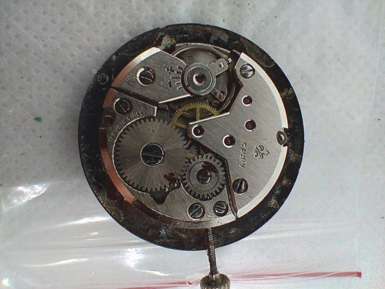 May include: Close-up of a disassembled watch movement, showcasing intricate gears, springs, and other mechanical components. The watch mechanism is silver-toned with a dark, circular frame. A small screwdriver is positioned at the bottom.