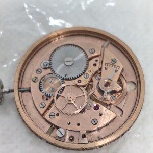May include: Close-up of a watch movement with various gears, screws, and jewels. The metal components are primarily gold and silver in color, with a circular design. The watch mechanism is a detailed example of horological engineering.