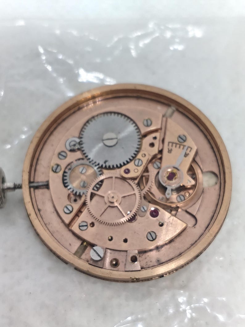 May include: Close-up of a watch movement with various gears, screws, and jewels. The metal components are primarily gold and silver in color, with a circular design. The watch mechanism is a detailed example of horological engineering.