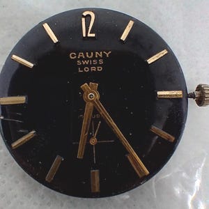 May include: A black watch face with gold-colored hands and markers. The watch face has the text "CAUNY SWISS LORD" and the number 12. A gold-colored crown is on the right side of the watch face.