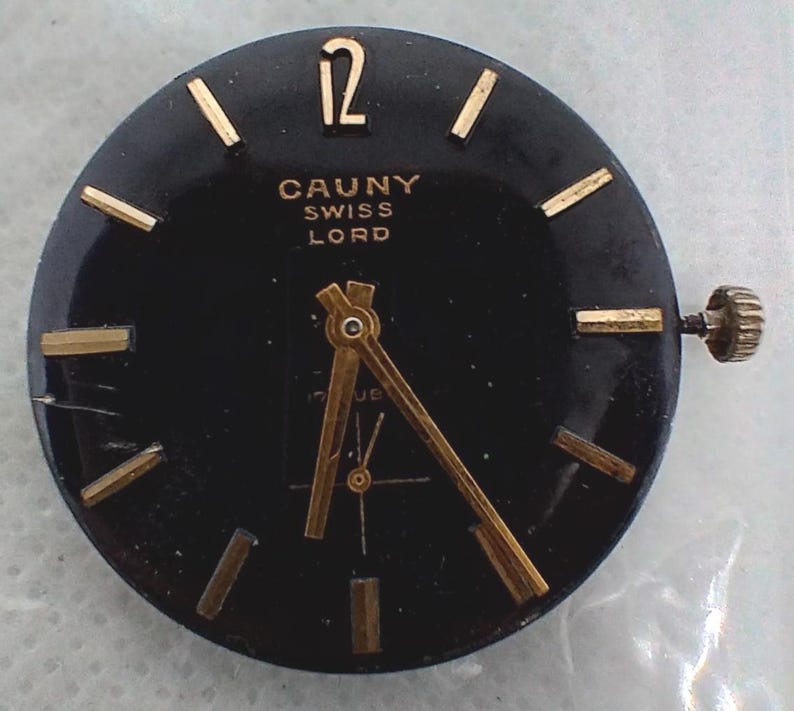 May include: A black watch face with gold-colored hands and markers. The watch face has the text "CAUNY SWISS LORD" and the number 12. A gold-colored crown is on the right side of the watch face.