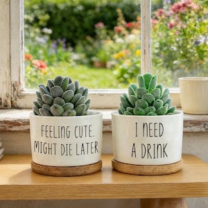 Personalized Funny Succulent Pot,Custom Ceramic Pot with Wood Stand,Housewarming Gift,Best Friend Gift,Birthday Party Gift,Gift for Sister