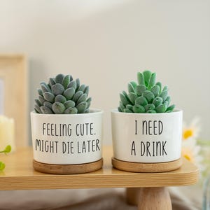Personalized Funny Succulent Pot,Custom Ceramic Pot with Wood Stand,Housewarming Gift,Best Friend Gift,Birthday Party Gift,Gift for Sister