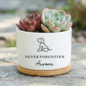 Può includere: Un vaso in ceramica bianca con base in bambù contenente due piante grasse. Il vaso presenta un disegno a linee nere di un cane e il testo "NEVER FORGOTTEN" sopra il nome "Aurora" in un carattere corsivo nero sulla superficie anteriore.