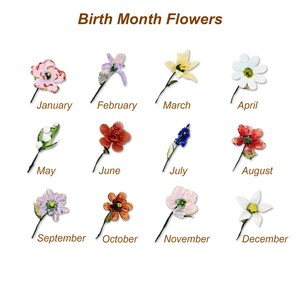 May include: An image featuring twelve different flowers, each representing a birth month. The months are arranged in a grid, with the name of each month written below its corresponding flower. The text "Birth Month Flowers" is at the top.