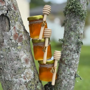 Könnte beinhalten: Vier kleine Gläser gefüllt mit goldenem Honig, jedes mit einem goldenen Deckel und einem hölzernen Honiglöffel. Ein goldener Bienenanhänger ist um jedes Glas gebunden. Die Gläser sind auf einem Ast gestapelt.