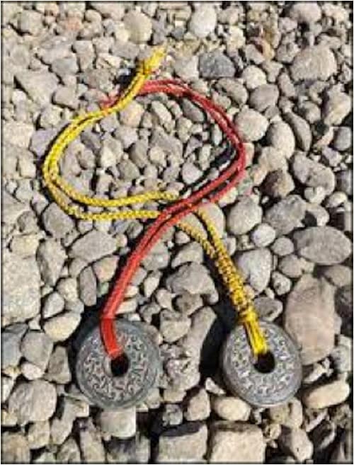 Survivor Hidden Immunity Idol Season 27 Blood Vs Water Prop Etsy