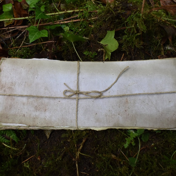 Survivor Voting Parchments X 10