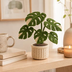 Könnte beinhalten: Eine gehäkelte Monstera-Pflanze mit panaschierten dunkelgrünen und cremefarbenen Blättern, getopft in einem strukturierten beigen Garn-Topf. Die Pflanze hat mehrere geschlitzte Blätter mit deutlichen Fenestrierungen auf einer dunkelbraunen Basis.
