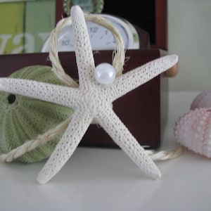 2 Gentlemens Boutonnière  Starfish ,Pearl and Sisal Coastal Beach Theme Wedding DESIGN 2