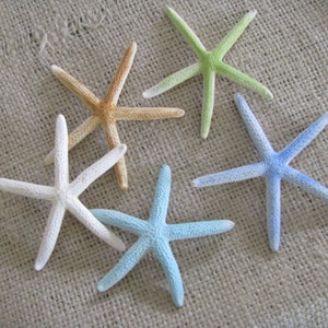 6 Gentlemens Boutonnière Starfish Coastal Beach for Theme Wedding DESIGN 1 image 3