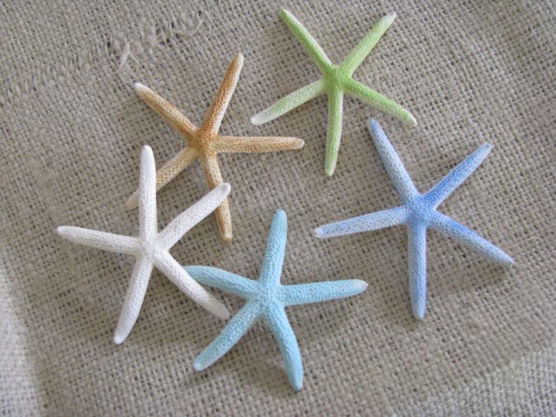 6 Gentlemens Boutonnière Starfish Coastal Beach for Theme Wedding DESIGN 1 image 3