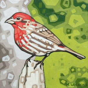 Bird Art Print 8 x 8 House Finch image 1