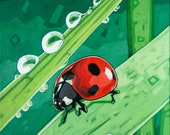 Ladybug - Art Print, 8" x 10"