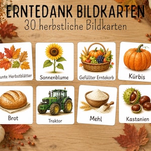 Könnte beinhalten: Ein Set aus 30 Bildkarten mit dem Titel ERNTEDANK BILDKARTEN zum Thema Herbst. Jede Karte zeigt eine farbige Illustration mit deutschem Text, darunter bunte Herbstblätter, eine Sonnenblume, einen Erntekorb, einen Kürbis, Brot, einen Traktor, Mehl und Kastanien.