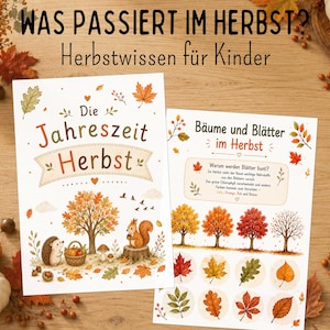Könnte beinhalten: Zwei Lernposter mit den Titeln WAS PASSIERT IM HERBST? und Die Jahreszeit Herbst, illustriert mit einem Igel, einem Eichhörnchen, Bäumen und Blättern. Der Text erklärt herbstliche Baumveränderungen mit bunten Blattgrafiken auf weißem Grund.