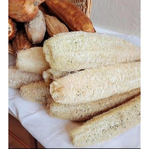 Natural Loofah Sponge | Eco-Friendly Exfoliating Bath Tool | Plastic-Free Skincare | Zero Waste Self-Care Gift | Vegan Body Scrubber