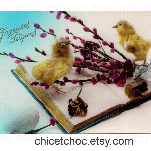 Unused French Easter Postcard - Chicks on a Book