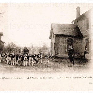 Unused French Postcard - Hunting Dogs at Étang de la Tour, Yvelines, France