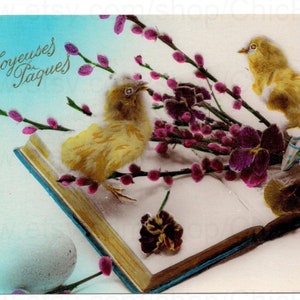 Unused French Easter Postcard - Chicks on a Book