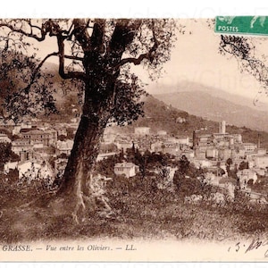 Antique French Postcard - Grasse, France