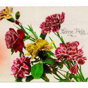 French Vintage Floral Postcard - Carnations & Roses