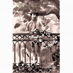 Vintage Postcard - Young Boy with Flowers