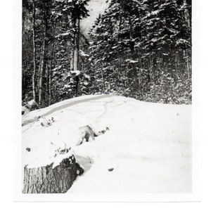 Vintage winterfoto: besneeuwd landschap