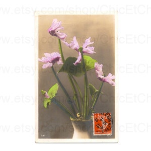 Antique Floral Postcard c.1912
