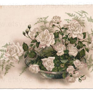 Vintage Floral Postcard - Bowl of Roses