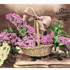 French New Year Postcard