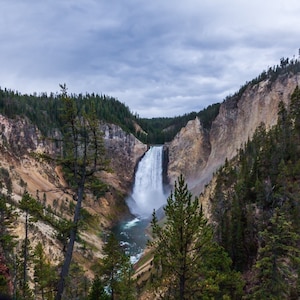 Grand Canyon of the Yellowstone National Park photograph