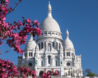 Photography of Spring at the Sacre-Coeur - Paris, France
