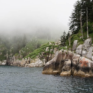 Seward, AK boat tour Photogragh