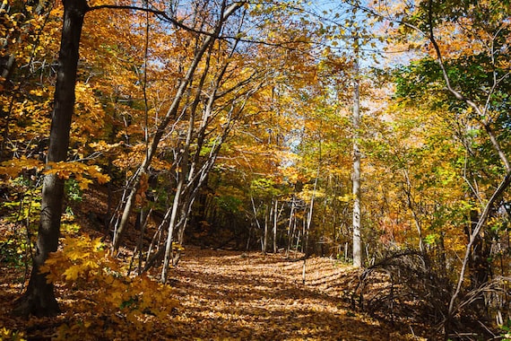 Barn Bluff Red Wing Mn Photograph Etsy