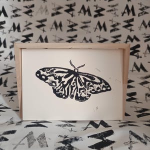 Papillon brumeux