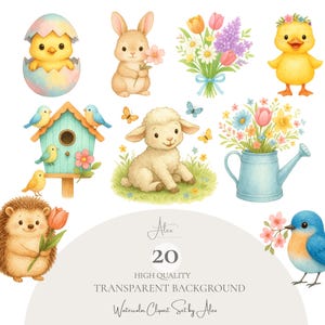 Vår Clipart Set, Söta Djur och Blommor PNG, Pastell Vårpaket, Påskträdgård Clip Art, Snabb Nedladdning, Kommersiellt Bruk